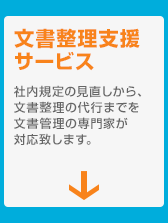 文書整理支援サービス